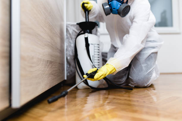 Best Pest Inspection Near Me  in Faith, NC