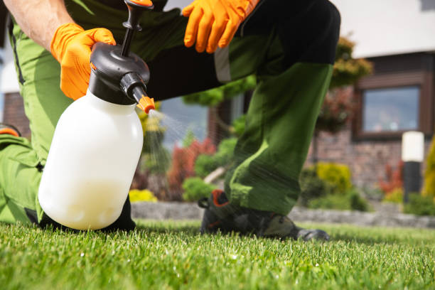 Best Exterminator Services  in Faith, NC