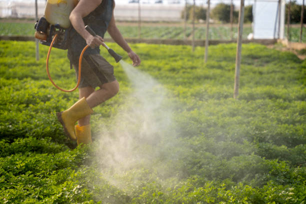 Best Mosquito Control Services  in Faith, NC