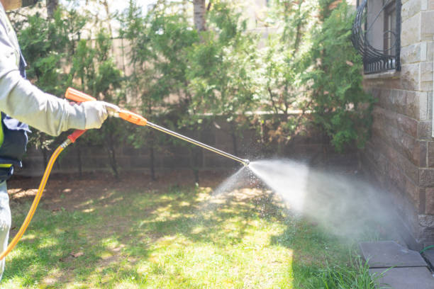 Insect Control in Faith, NC