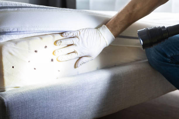 Best Best Pest Control Companies  in Faith, NC