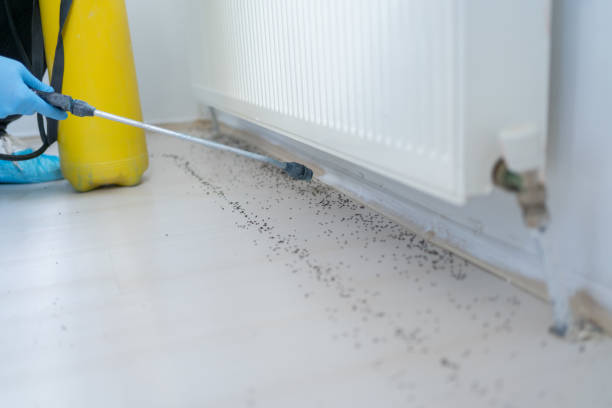 Best Exterminator Services  in Faith, NC