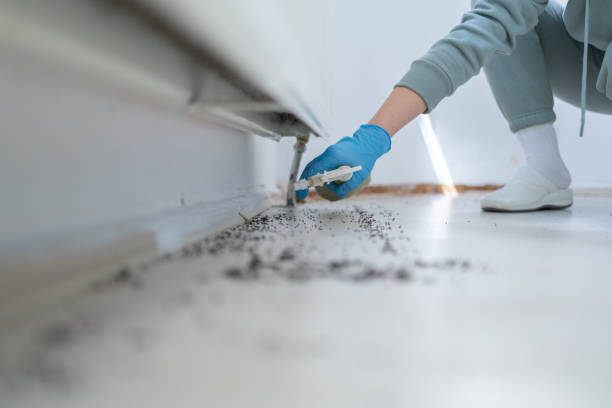 Best Mosquito Control Services  in Faith, NC