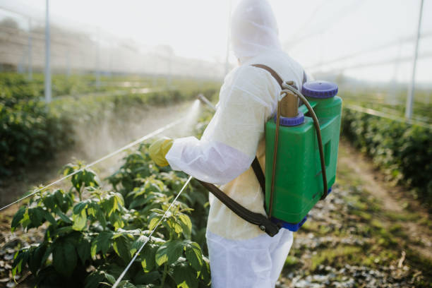 Best Pest Inspection Near Me  in Faith, NC